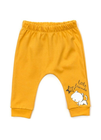 Комбинированный демисезонный набор детской одежды с котиками (16326-62g-yellow) Miniworld