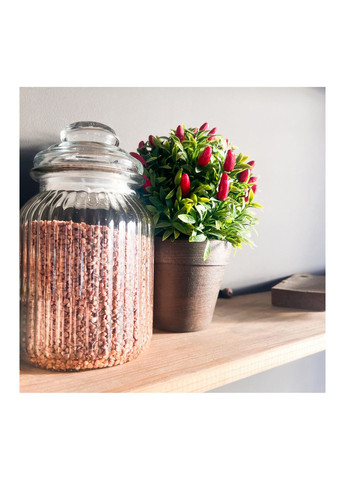 Банка ємність скляна з кришкою для зберігання сипучих продуктів 1150 мл S&T (325402300)