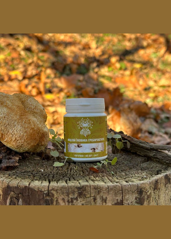 Мицелий ежика гребенчатого в таблетках 60 шт по 0,4 г Лісовик (334292801)