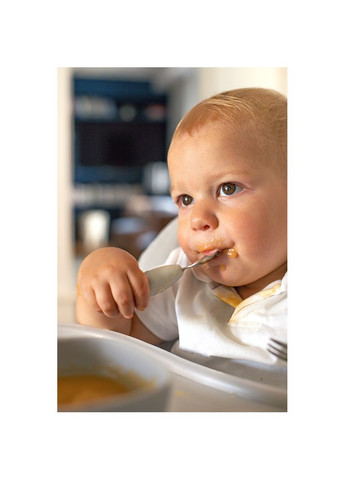 Набор ложка и вилка металлическая 10+, арт. 913581 Beaba (369165260)