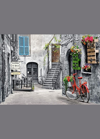 Пазл Очаровательная аллея с красным велосипедом 500 деталей Castorland (322927968)