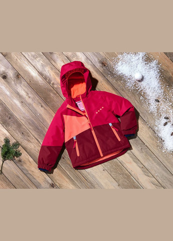 Термо-комбинезон зимний Lupilu (311224471)