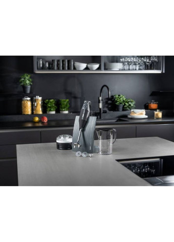 Блендер SwissLine М200 Anthracite (1000.023) Bamix (323093130)