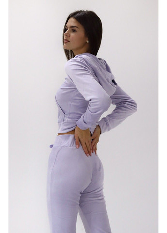 Жіночі велюрові спортивні штани Н&М (56856) S Фіолетові H&M (289361072)