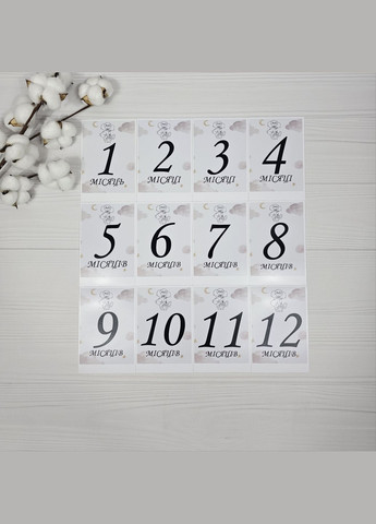 Подарочный набор с детским пледом, игрушками и картами для фотосессии a.l.babybox Лесная мелодия No Brand (330244560)