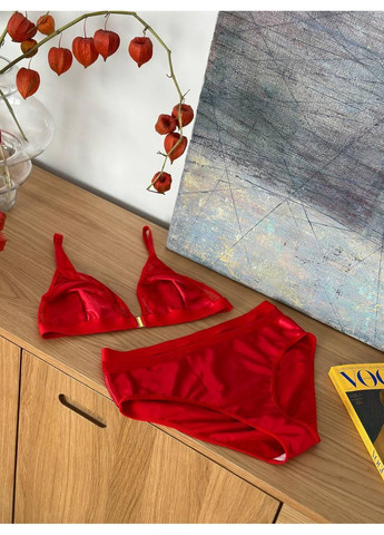 Красный демисезонный набор женского нижнего белья сатиновый большого размера. бюстгальтер и трусики с блеском No Brand