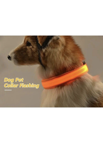 Ошейник LED светящийся для собак и кошек Orange Size S шея 34-41 см ширина 2,5, полная длина 44 см Xtep (319664541)