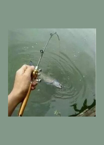 Карманная удочка с катушкой No Brand (325977050)