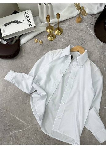 Жіноча сорочка No Brand (357113888)