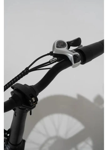 Электровелосипед Fatbike " " 750W, 21AH, 48V, Ø-20, 40 км / ч Tesla (395113817)
