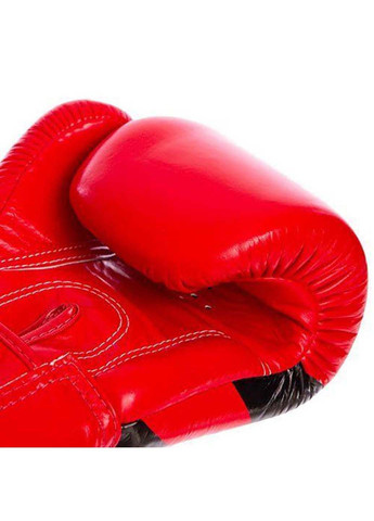 Рукавички боксерські BGV1N 12oz Fairtex (285794012)