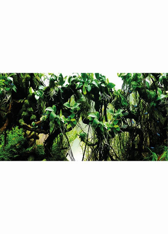 Фон для аквариума Pearl River/Deep Delta самоклеящийся 100x50см Hobby (321970192)