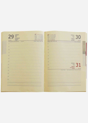 Дневник датированный 2024 год, срез блока золото "Рамка Львов" бордовый А5, Библесс, искусственная кожа Бібльос (281999539)