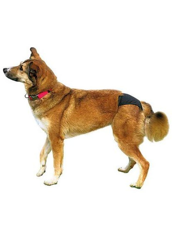 Гигиенические трусы 50-59 см (чёрные) (*) Trixie (323153072)