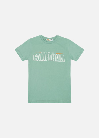 Оливкова літня футболка з коротким рукавом для хлопчика колір оливковий цб-00246155 No Brand