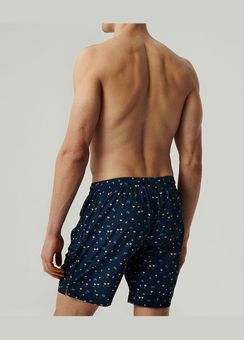 Чоловічі пляжні шорти Atlantic (329204473)