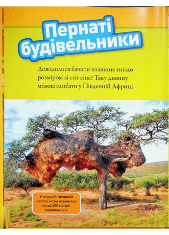 Животные-строители Видавництво "Егмонт Україна" (370152155)