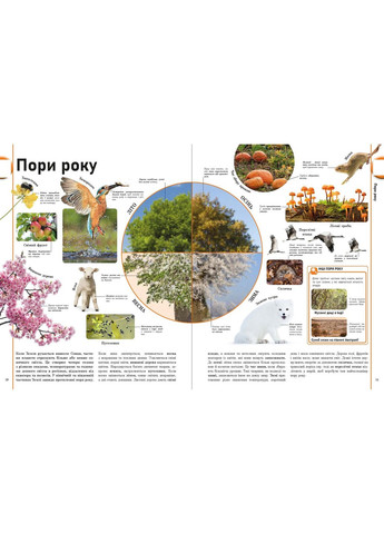 Книга No Brand (368828912)