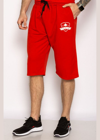 Бриджи Premium (Красный) Time of Style (313101592)