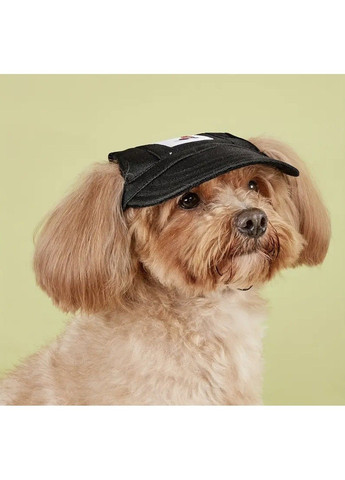 Кепка для котов и собак "Roxi" Black Size S Xtep (319664524)