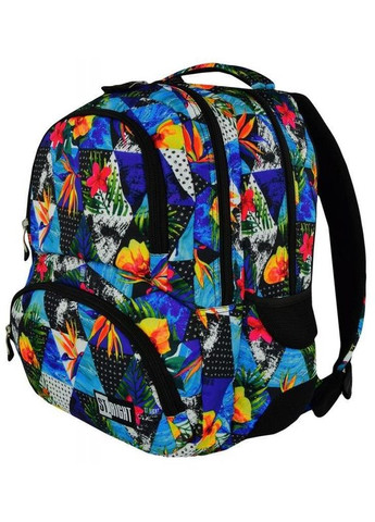 Рюкзак школьный подростковый для девочки BP-07 Paradise 618567 разноцветный ST.Right (301212639)