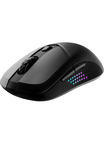 Мышь VERSA 300 ELITE W, WIRELESS, RGB, WL, черный MSI (316680731)
