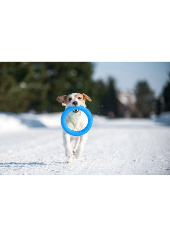 Кольцо для апортировки PitchDog20, диаметр, голубой PitchDog (322002152)