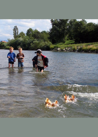 Экспериментальный набор Forelle для создания механической лодки Kraul (292132777)