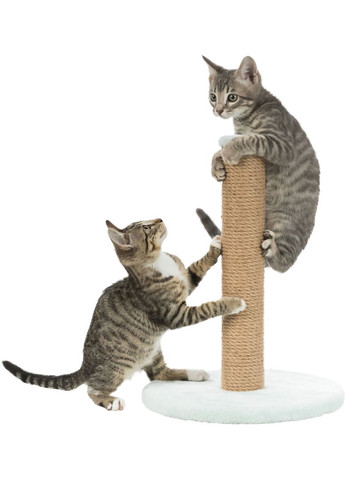 Когтеточка для кошенят Junior Стовпчик М'ятний/натуральний 30 х 42 см (4011905429328) Trixie (329993793)
