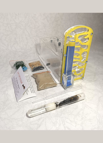 Муравьиная ферма (формикарий) вертикальная (желтая)+ муравьи-жнецы. Полный комплект No Brand AntTown (314798851)