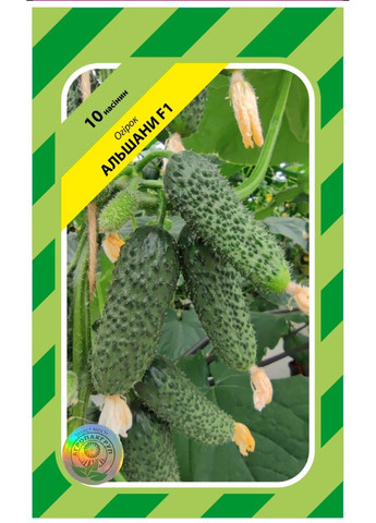 Насіння огірка Альшани F1 Bejo Zaden (333036004)