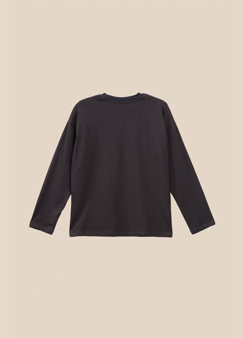 Графитовый демисезонный лонгслив LAWA