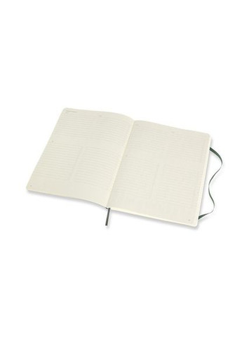 Блокнот PRO большой зеленый PROPFNTB4SK19 Moleskine (317306926)