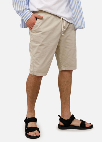 Мужские шорты цвет бежевый ЦБ-00250652 Dozor (307363072)