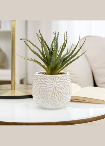 Штучна рослина в горщику MY HOME Зелений/бежевий (DHFLOWERS-13 GREEN/BEIGE) MVM (301084635)