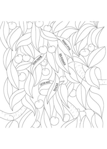 Чудеса и волшебство Украины Фабула (370062516)