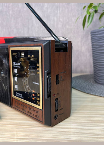 Радіоприймач RX-9922UAR від мережі з акумулятором, з роз'ємом під батарейками, і Bluetooth, USB, SD Golon (330828948)