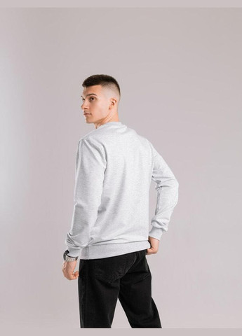 Светло-серый базовый мужской свитшот однотонный светло-серая однотонный без декора (345647928)