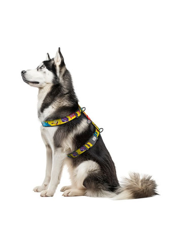 Ошейник WAUDOG (336964682)