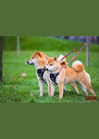 Поводок из нейлона с узором "LINE" 25 мм 1800 мм Kareline (339075002)