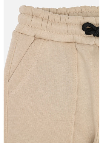 Бежевые зимние брюки Asya