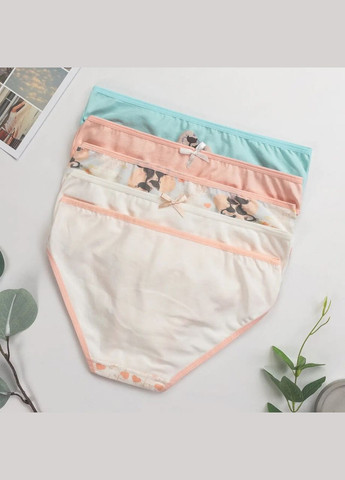 Набір трусиків дитячих сліпів для дівчаток 5 шт Nicoletta Трусики (342119737)