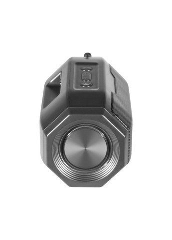 Акустическая система (m282269) Defender G36 5Вт FM/microSD/USB Black (369015687)