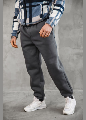 Штани чоловічі спортивні на флісі преміум No Brand штани (315055945)