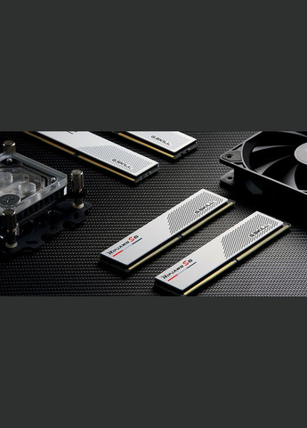 Память для настольных компьютеров 64 GB (2x32GB) DDR5 6000 MHz Ripjaws S5 (F5-6000J3040G32GX2-RS5W) G.SKILL (317275249)