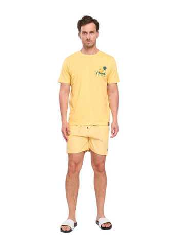 Шорты мужские пляжные ультралегкие Kenvelo (337018793)