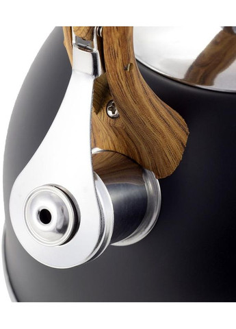Чайник Whistling Kettle черный 2,5л из нержавеющей стали свистковый для чая и кипятка Kamille (368987480)