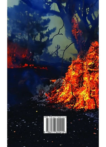 Украина в огне. Война 2022 сквозь призму Довженко: 100 дней противостояния Видавництво "Смолоскип" (370116114)