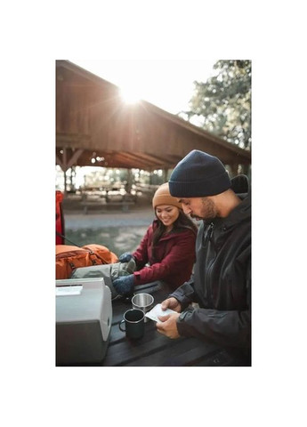 Химическая грелка для рук Disposable Large Hand Warmers (THW THA-HND-0007-G) Thaw (324265293)