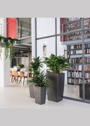 Вазон Сubico 30, чорний блискучий (A-013692) Lechuza (317268864)